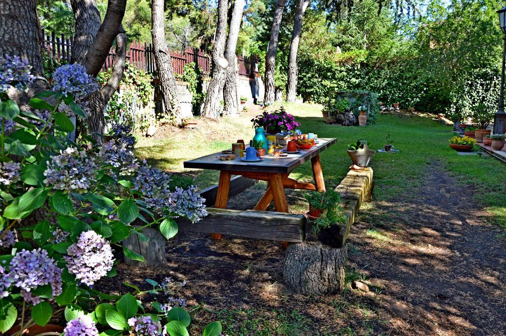 Villa Caterina B&B 佩达拉 外观 照片
